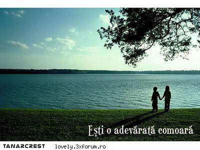 Prietenia ♥ - Prietenia... Henri Adams: �Un prieten intr-o - Povestioare despre prietenie ♥